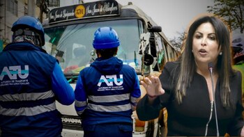 La parlamentaria impulsa una reforma