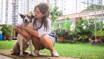 Exploramos las diversas opciones para