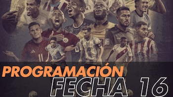 Programación de la fecha 16