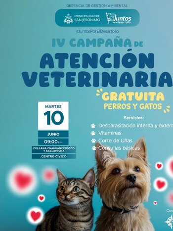 Los residentes deberán ir con