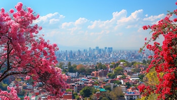 Clima en Ciudad de México: