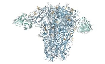 La importancia de AlphaFold radica