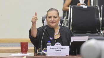 INE hará revisión de idoneidad