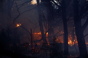 Incendio en Epuyén, Chubut (X: